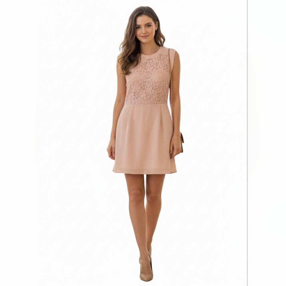 Wilfred Aritzia Sablons Pink Blush Silk & Sheer Lace Cocktail Dress Size 4